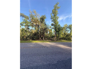 Beach Lot For Sale in Crystal River, Florida