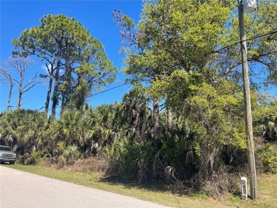Beach Lot For Sale in North Port, Florida
