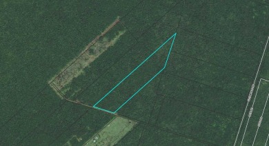 Beach Acreage For Sale in Volcano, Hawaii