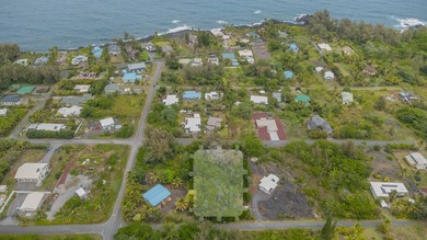 Beach Lot For Sale in Keaau, Hawaii