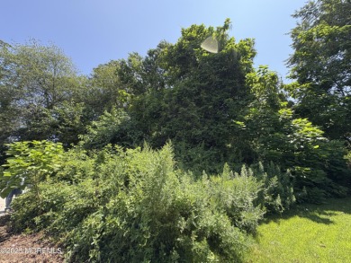 Beach Lot For Sale in Waretown, New Jersey