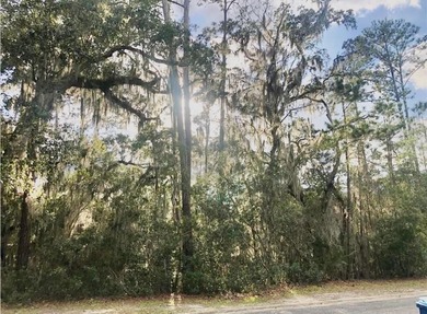 Beach Lot For Sale in Saint Simons, Georgia