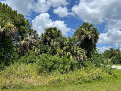 Beach Lot For Sale in North Port, Florida