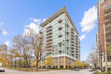 Beach Condo For Sale in Chicago, Illinois