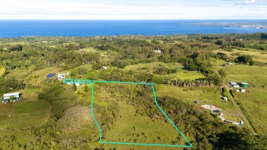 Beach Acreage Active Under Contract in Papaikou, Hawaii