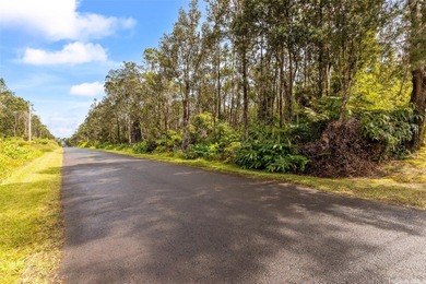 Beach Acreage Active Under Contract in Volcano, Hawaii