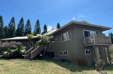 Beach Home For Sale in Pahala, Hawaii