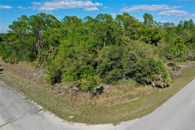 Beach Lot For Sale in North Port, Florida