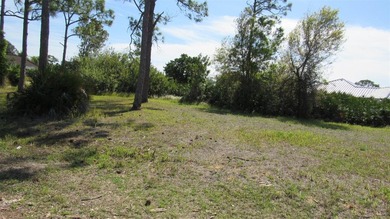 Beach Lot For Sale in Punta Gorda, Florida