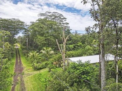 Beach Home For Sale in Pahoa, Hawaii