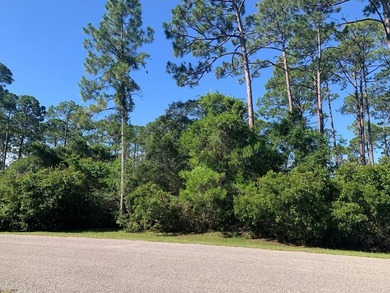 Beach Lot For Sale in Eastpoint, Florida
