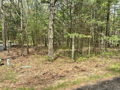 Beach Lot For Sale in Pentwater, Michigan