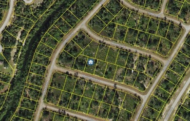 Beach Lot For Sale in North Port, Florida