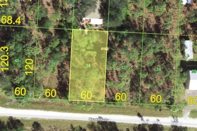 Beach Lot For Sale in Punta Gorda, Florida