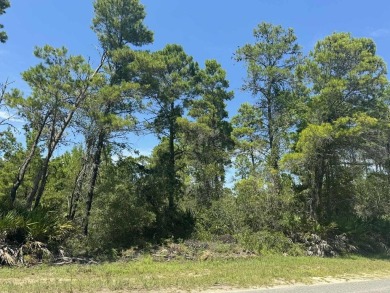 Beach Lot For Sale in Carabelle, Florida