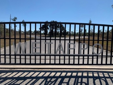 Beach Lot For Sale in Wewahitchka, Florida
