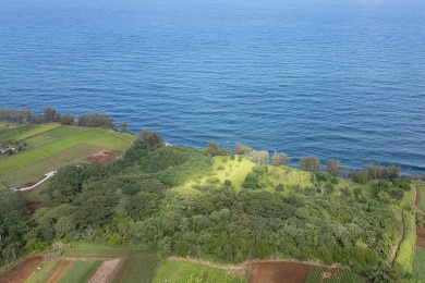 Beach Acreage For Sale in Pepeekeo, Hawaii