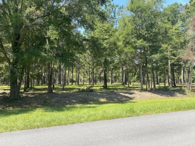 Beach Acreage For Sale in Wewahitchka, Florida