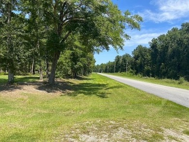 Beach Acreage For Sale in Wewahitchka, Florida