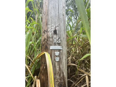 Beach Lot For Sale in Keaau, Hawaii