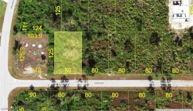 Beach Lot For Sale in Port Charlotte, Florida