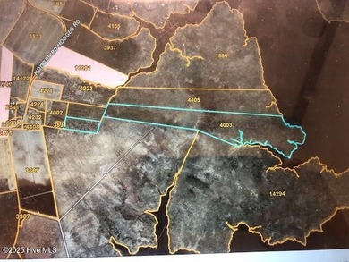 Beach Acreage For Sale in Swan Quarter, North Carolina