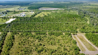 Beach Acreage For Sale in Wewahitchka, Florida