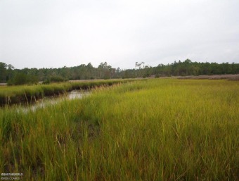 Beach Acreage Off Market in Beaufort, North Carolina