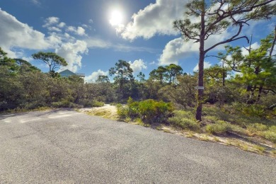 Beach Lot For Sale in St. George Island, Florida