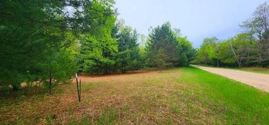 Beach Acreage For Sale in Manistee, Michigan