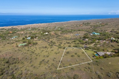 Beach Acreage For Sale in Kamuela, Hawaii