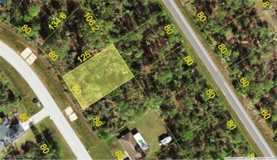 Beach Lot For Sale in Port Charlotte, Florida