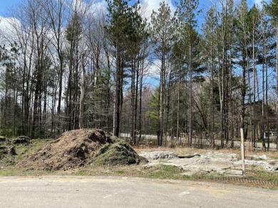 Beach Lot For Sale in Spring Lake, Michigan