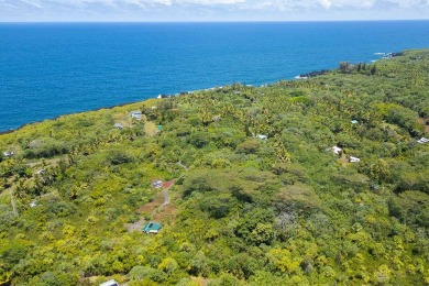 Beach Acreage For Sale in Pahoa, Hawaii