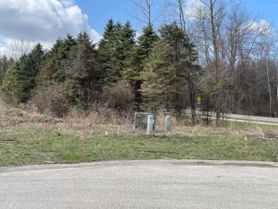 Beach Lot For Sale in Spring Lake, Michigan