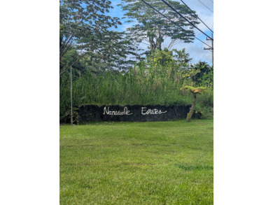 Beach Lot For Sale in Pahoa, Hawaii