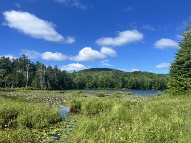 Beach Acreage For Sale in Blue Hill, Maine