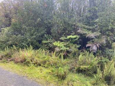Beach Lot For Sale in Volcano, Hawaii