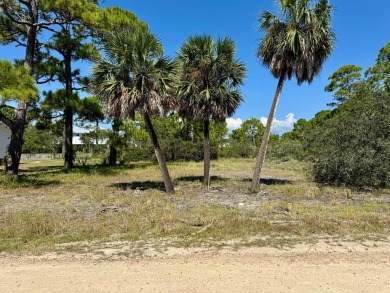 Beach Lot For Sale in St. George Island, Florida