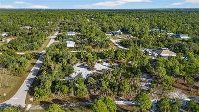 Beach Lot For Sale in Punta Gorda, Florida