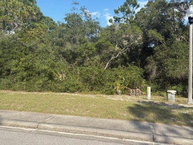 Beach Lot For Sale in Carabelle, Florida