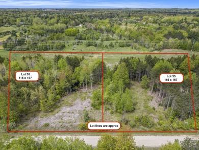 Beach Lot For Sale in Ludington, Michigan