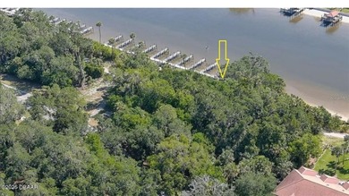Beach Lot For Sale in Palm Coast, Florida