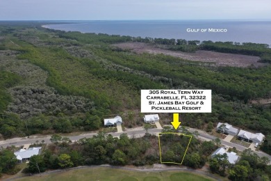 Beach Lot For Sale in Carabelle, Florida