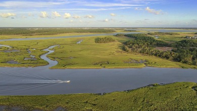 Beach Lot For Sale in Daniel Island, South Carolina