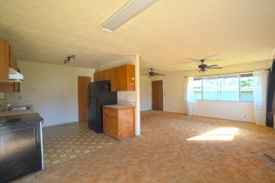 Beach Home For Sale in Pahoa, Hawaii