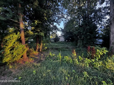 Beach Lot For Sale in Toms River, New Jersey