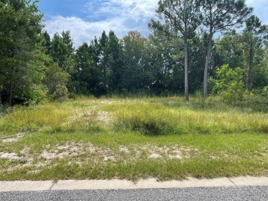 Beach Lot For Sale in Carabelle, Florida