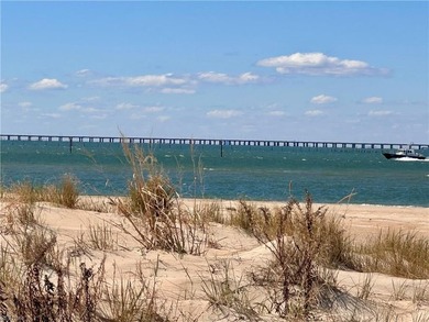 Beach Condo For Sale in Virginia Beach, Virginia