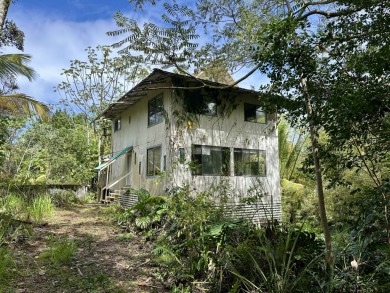 Beach Home Active Under Contract in Keaau, Hawaii